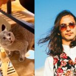 The-Kiffness-Alugalug-Cat