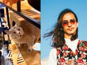 The-Kiffness-Alugalug-Cat