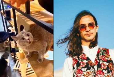 The-Kiffness-Alugalug-Cat